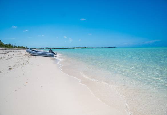 Abacos