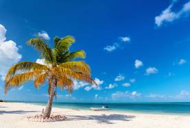 Antigua