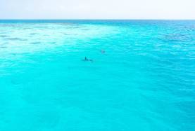 Belize