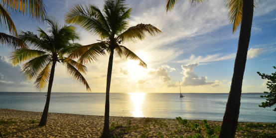 St. Martin