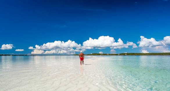 Abacos