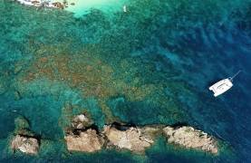 How will Brexit affect travel in the EU?